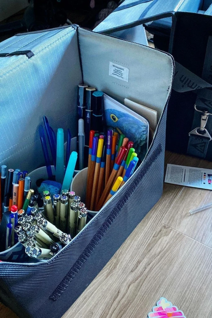 Portable Art Bag