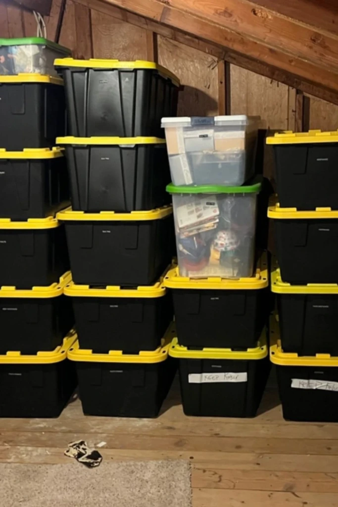 Bin Stacking