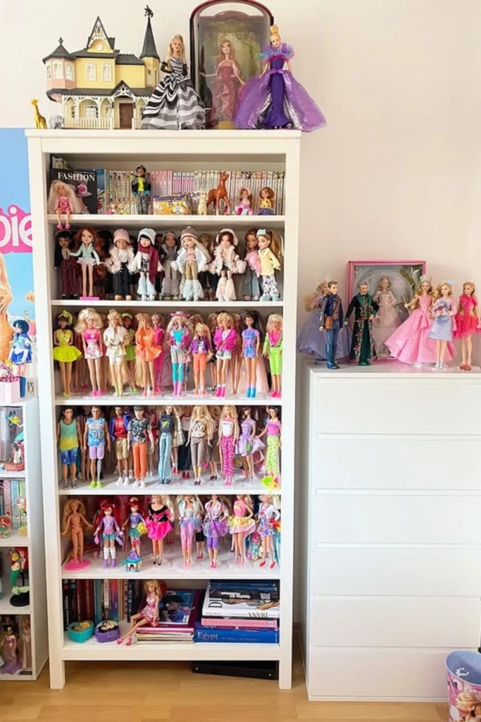 Bookcase Display