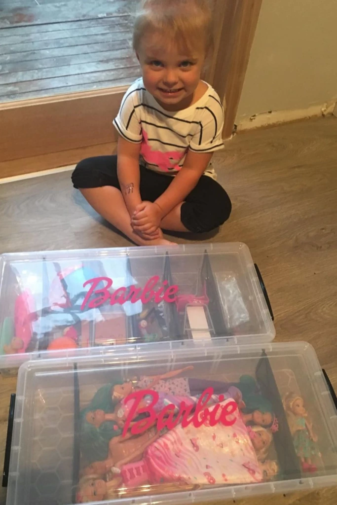 Storage Totes