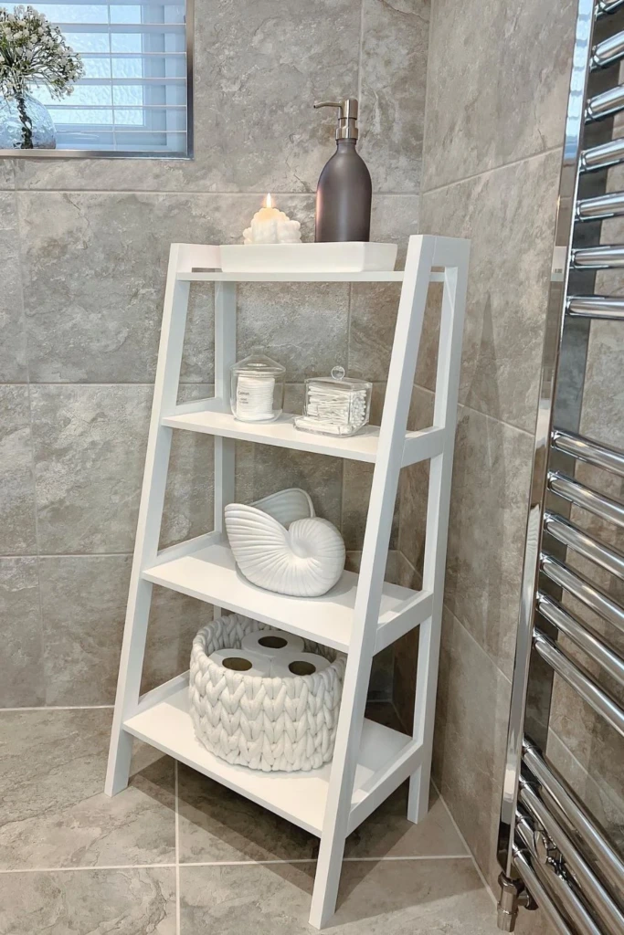 Ladder Shelf