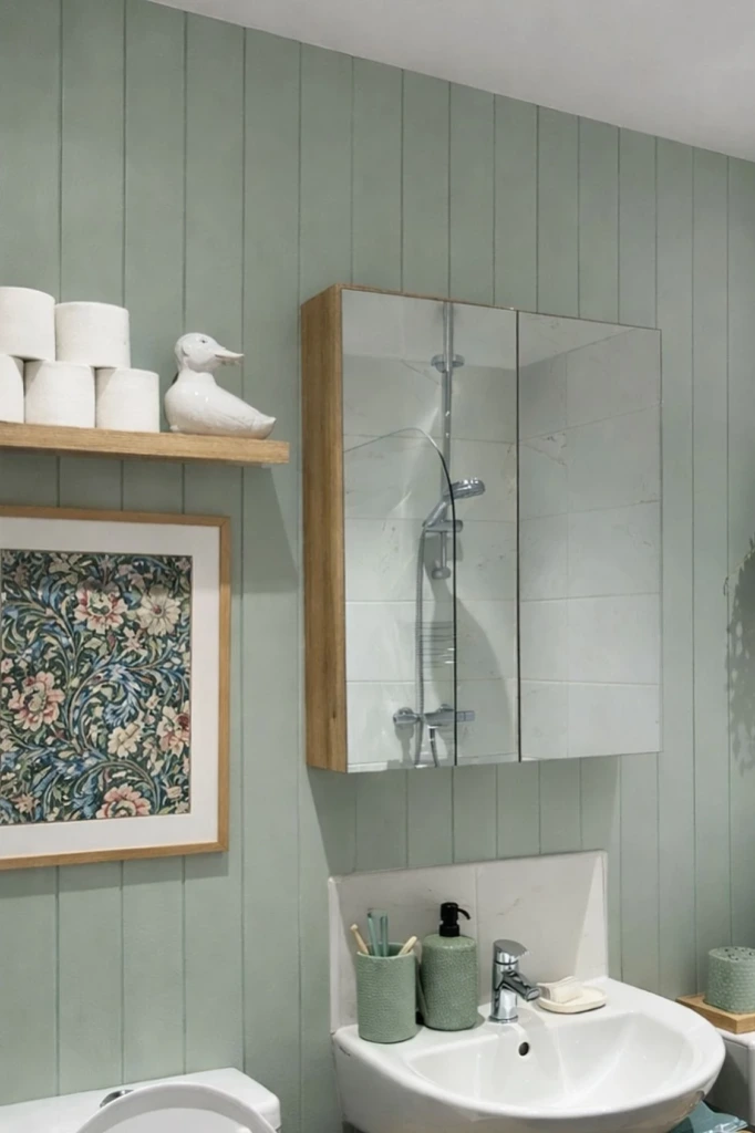 Mirror Cabinet