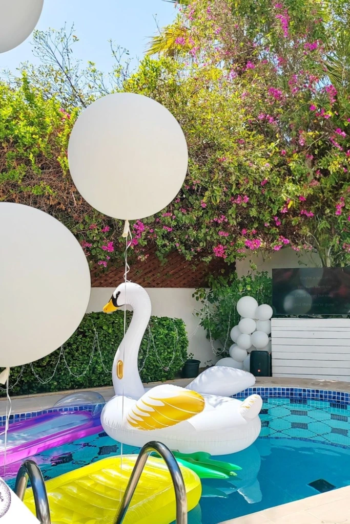 Swan Float Lounge