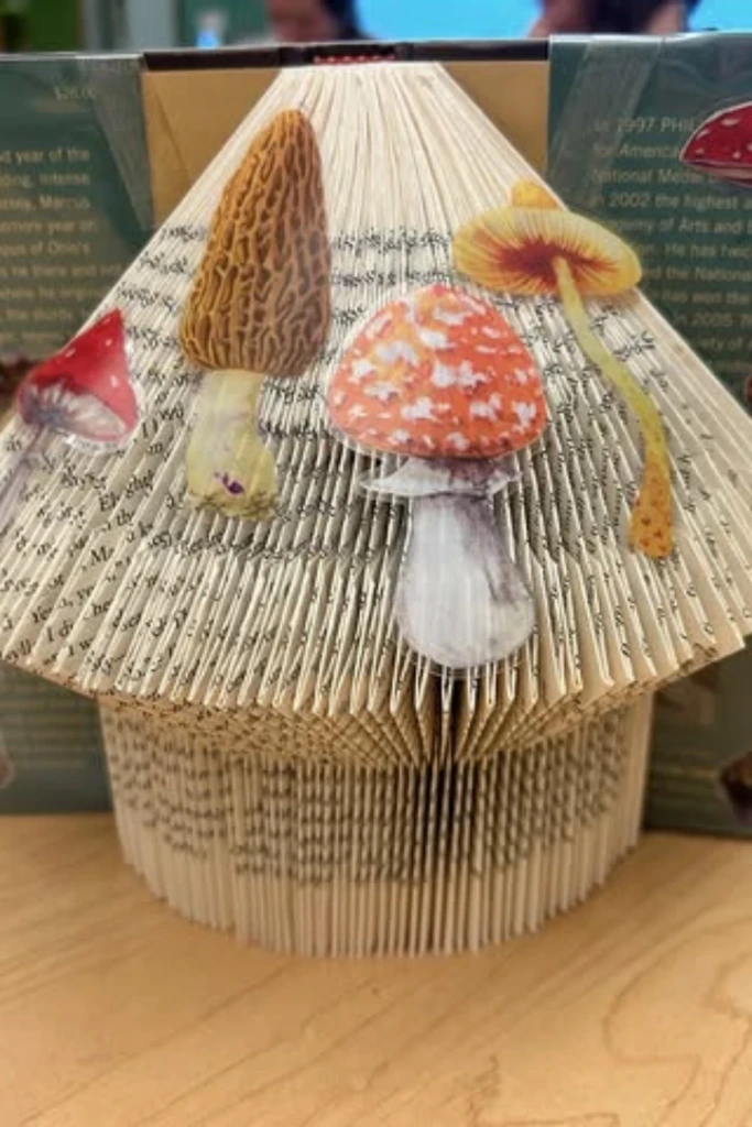 Folded Book Scene