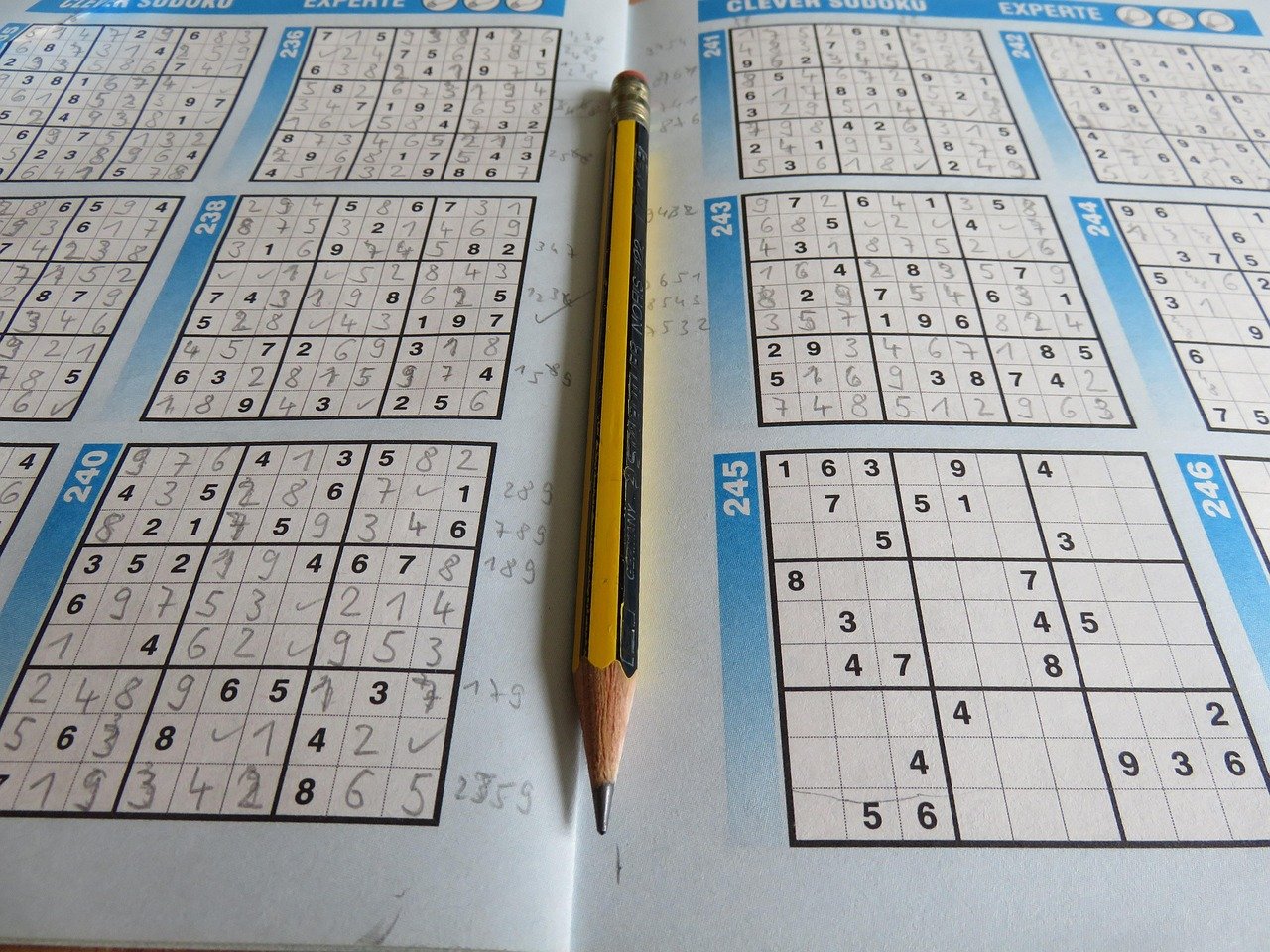 19+ Brain Games for Seniors Printable