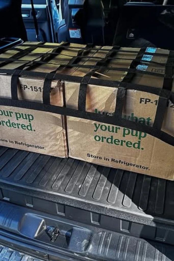 Choose the Right Organizers for Your Trunk