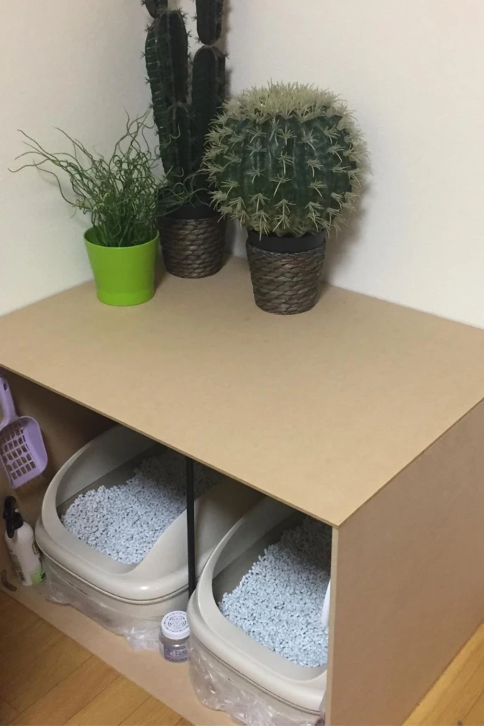 Corner Station