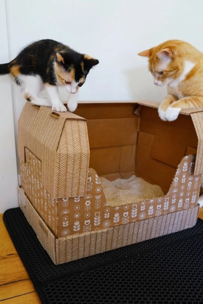 Box Hack