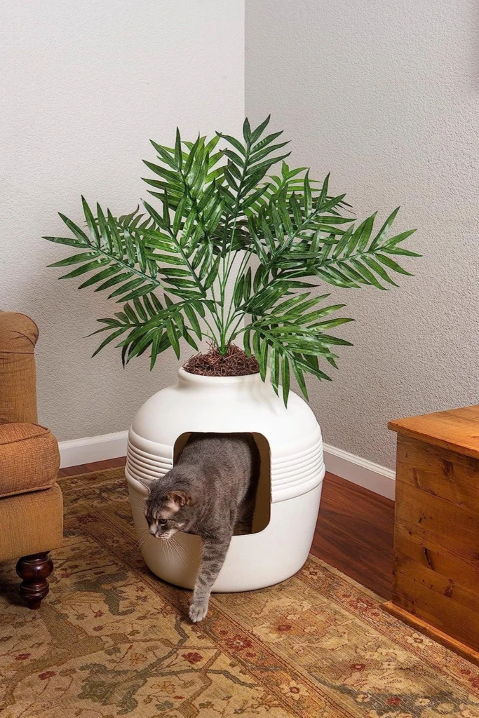 Plant Disguise