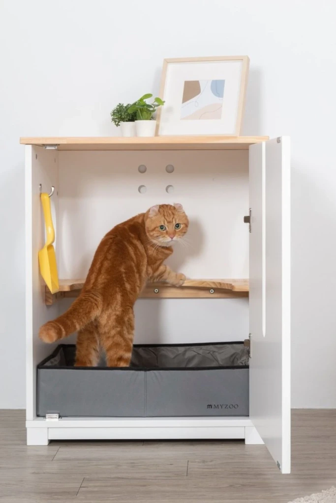 Cabinet Box