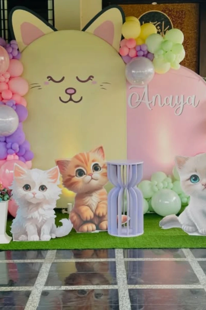 Cute Kitten Setup