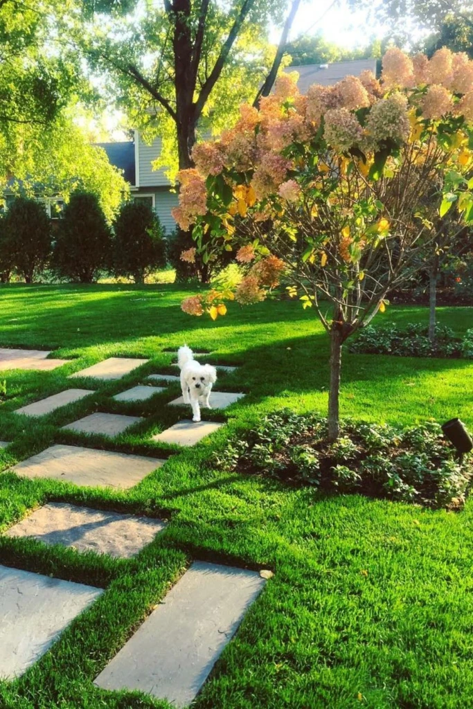Square Pavers in the Lawn
