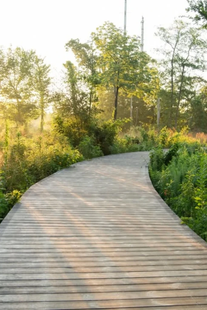 Simple Timber Boardwalk