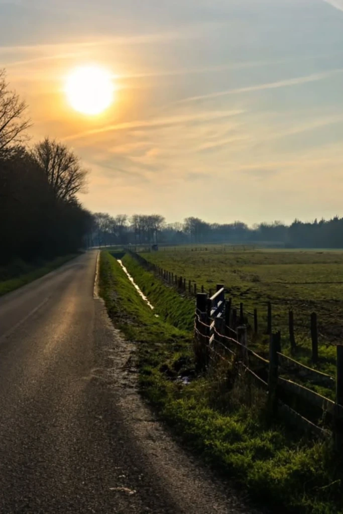 Simple Country-Style Path
