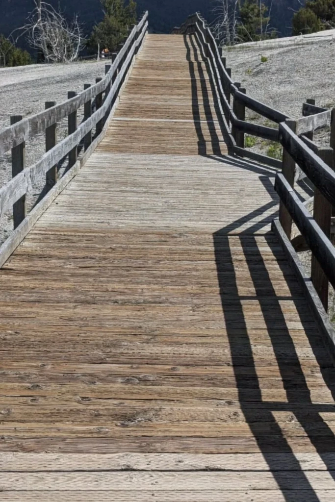 Raised Wooden Walkway