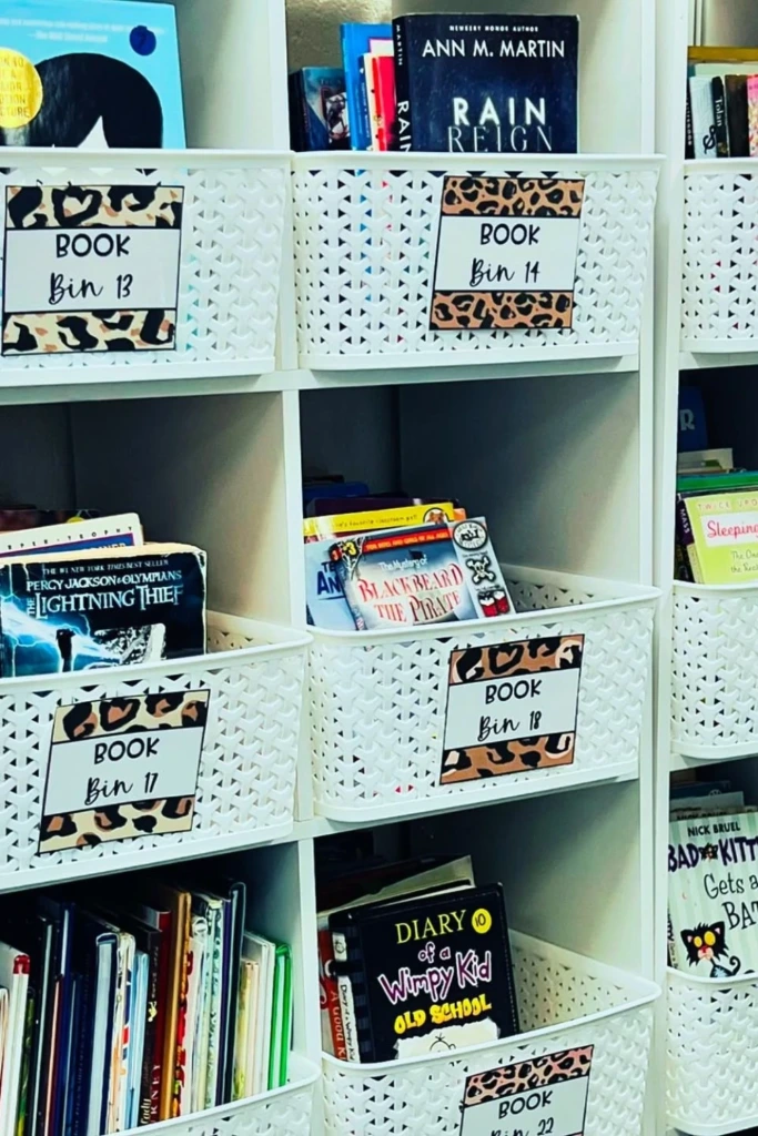 Labeled Book Bins