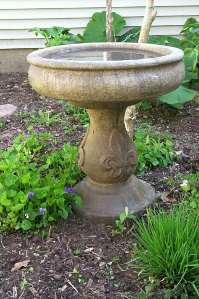 Concrete Garden Classic