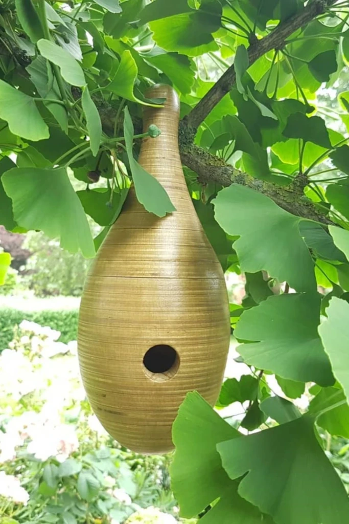 Gourd-Inspired Pod