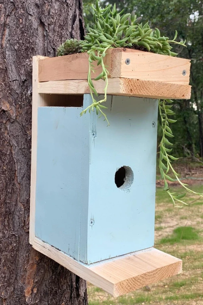 Green Roof Planter
