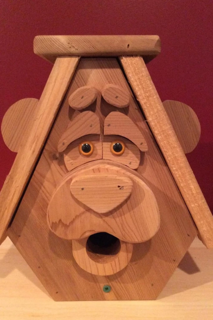 Bear Face House