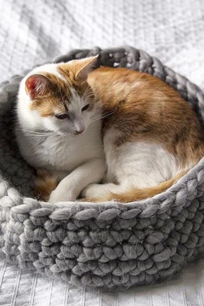 Knit Nest