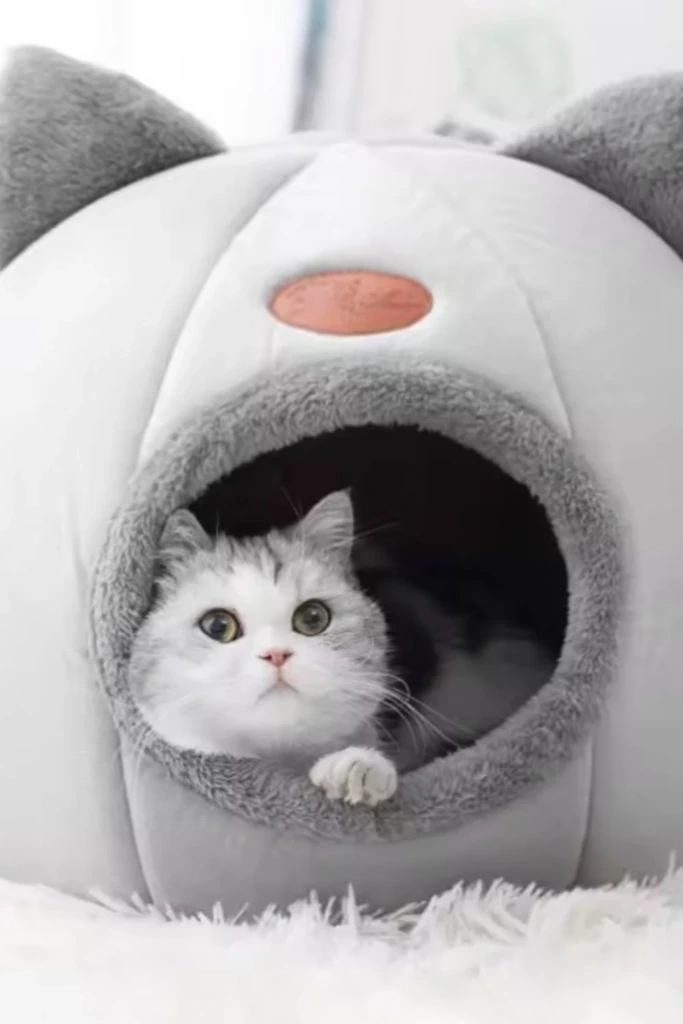 Plush Dome