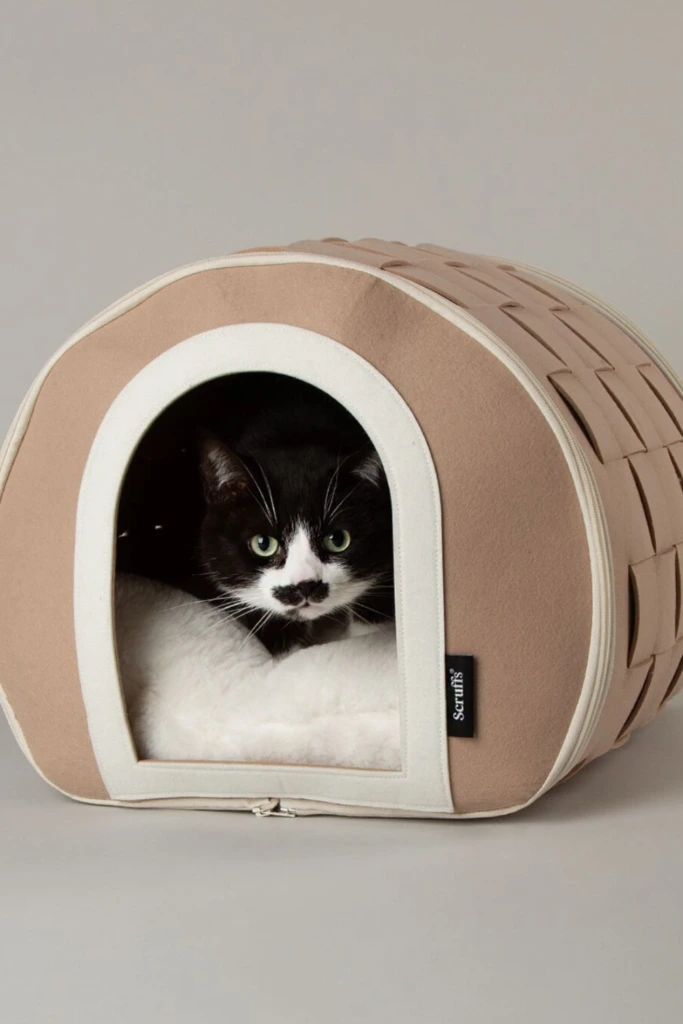 Soft Shelter