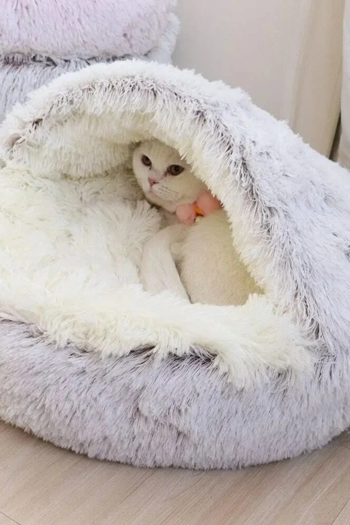 Hooded Donut