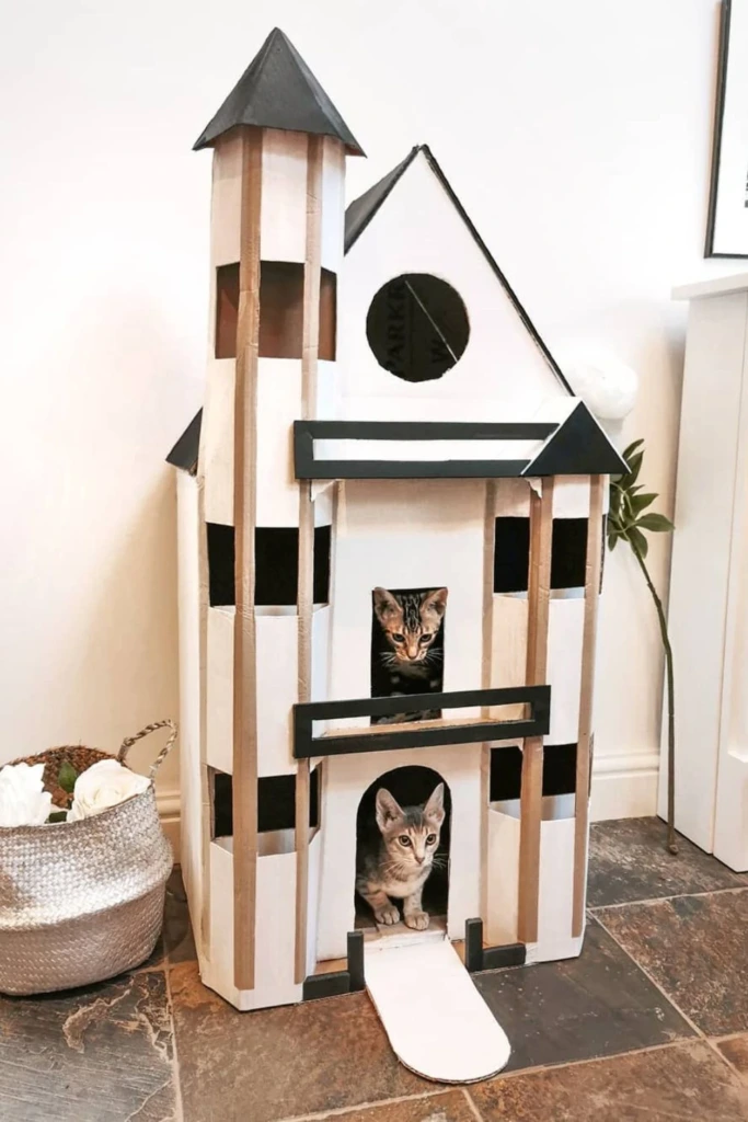 Cardboard Castle