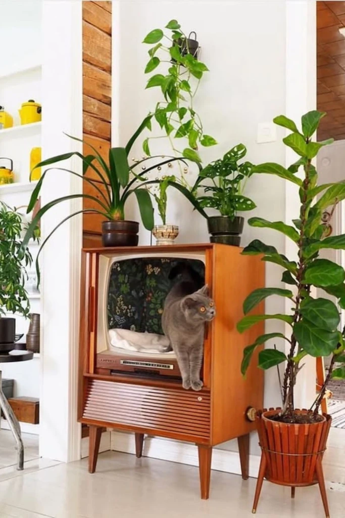 Retro Cabinet