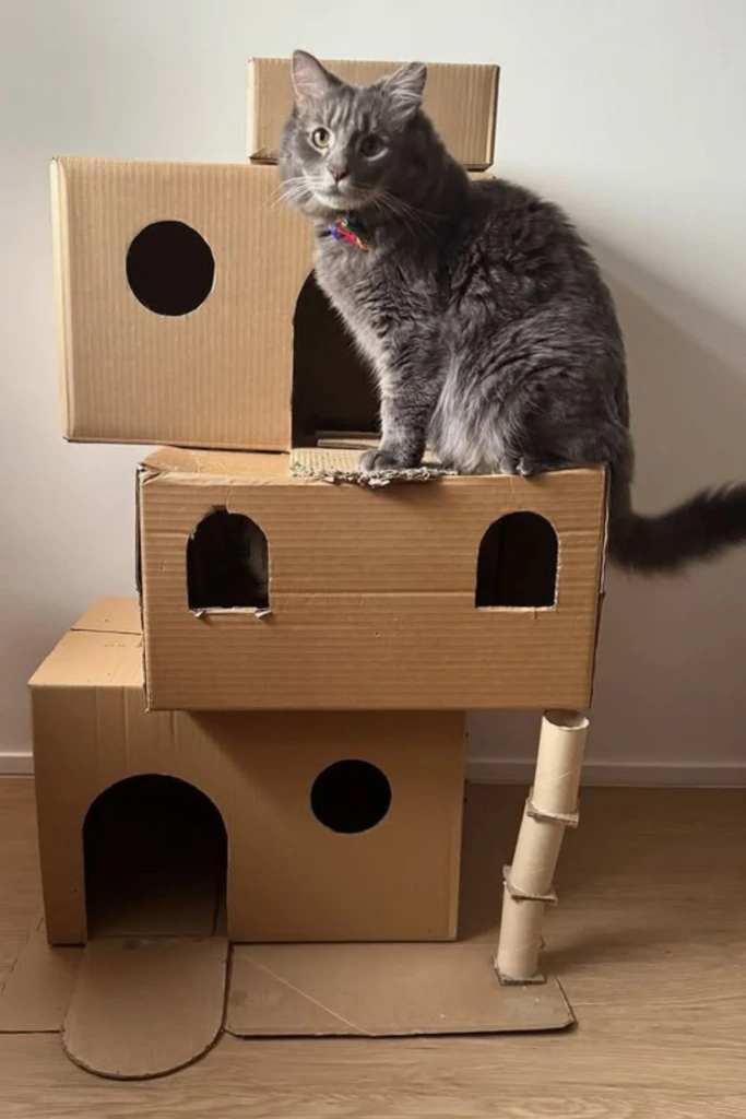 Box Stack