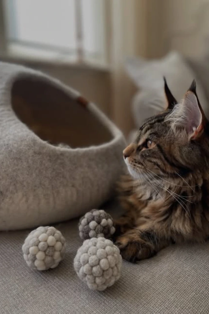 Wool Pom-Pom Balls
