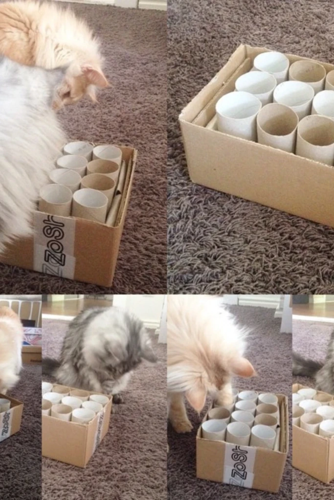 Toilet Roll Treat Box
