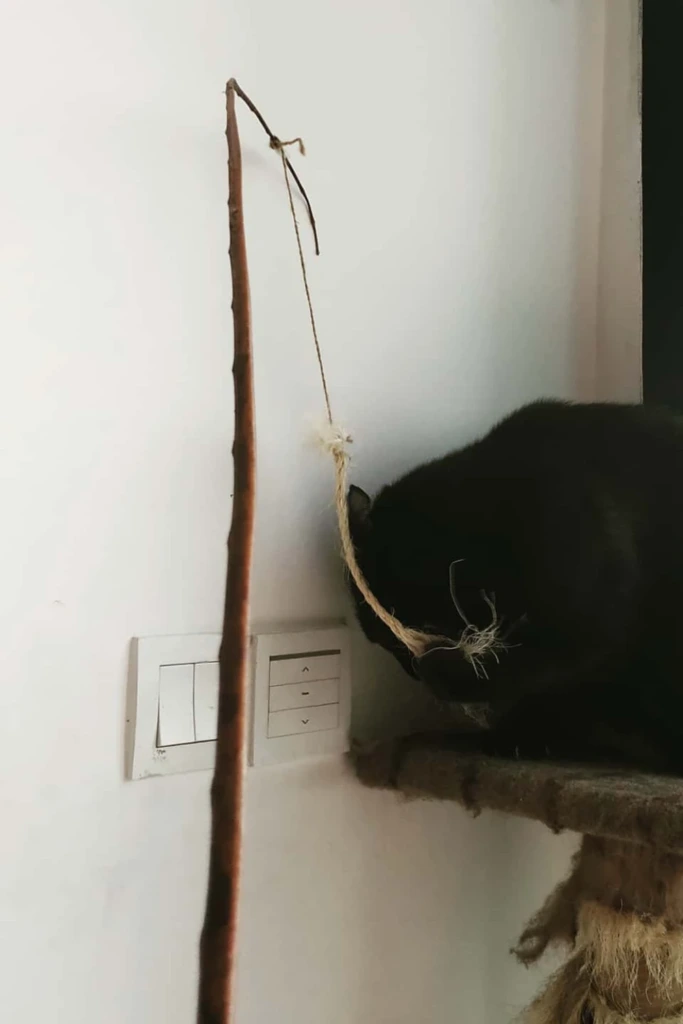 Hanging String Stick