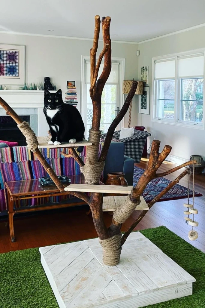 Natural Branches