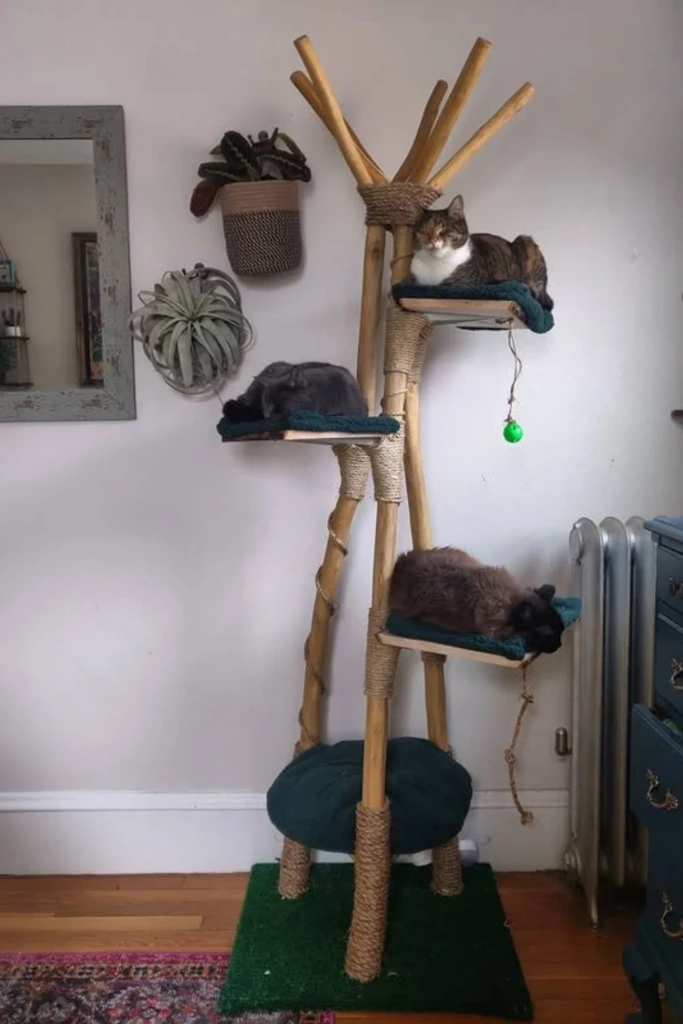 Vertical Habitat