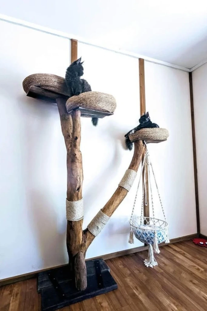 Twin Perches