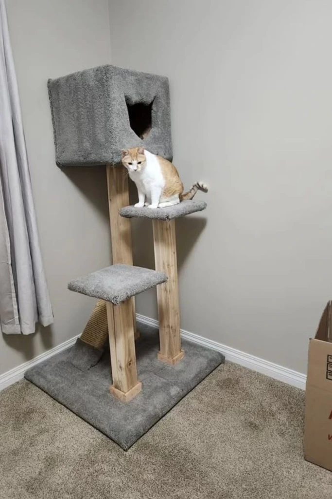 Compact Condo