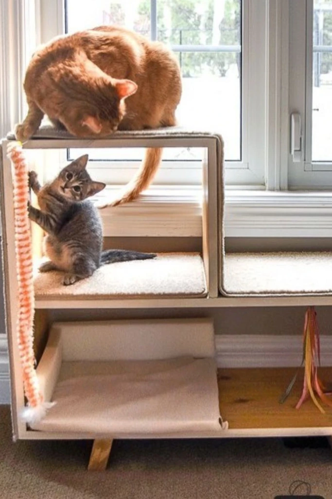 Window Bench