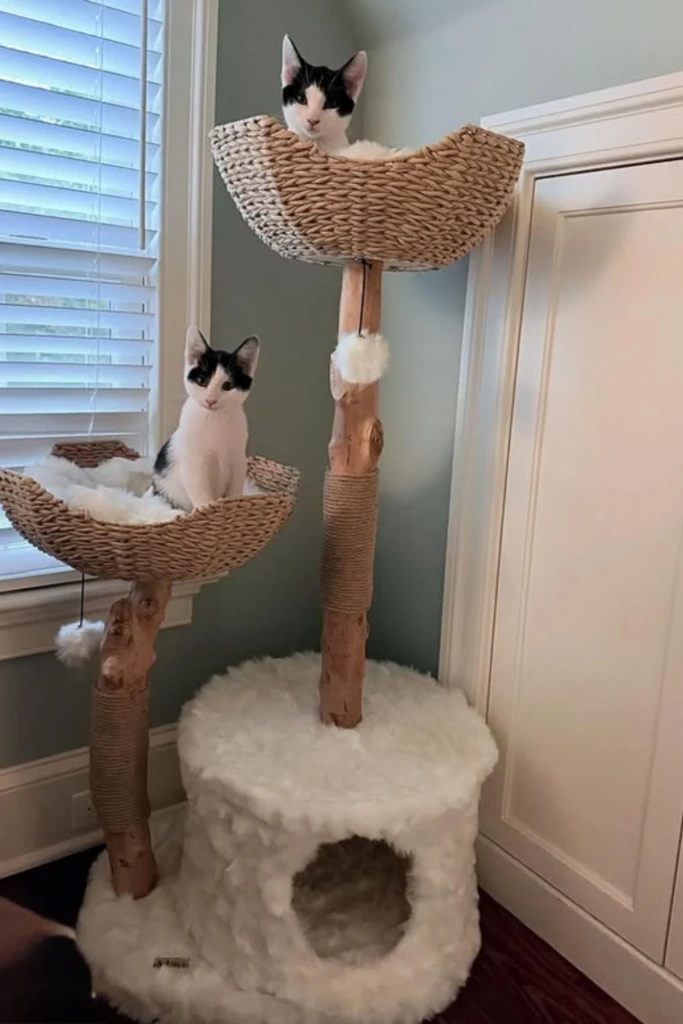 Basket Towers