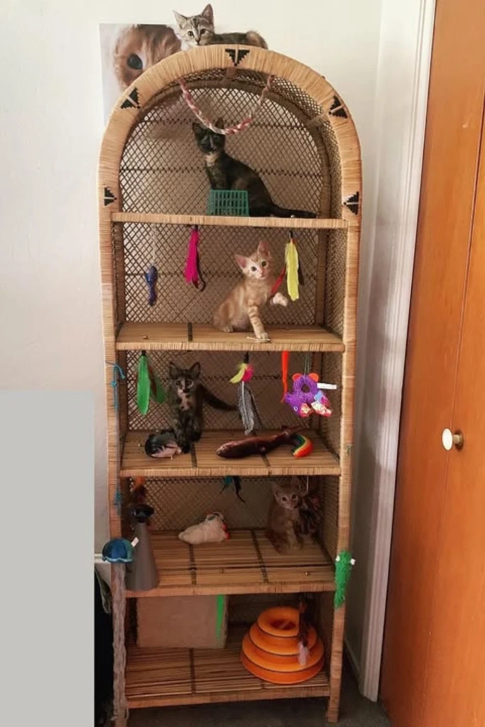 Play Cabinet