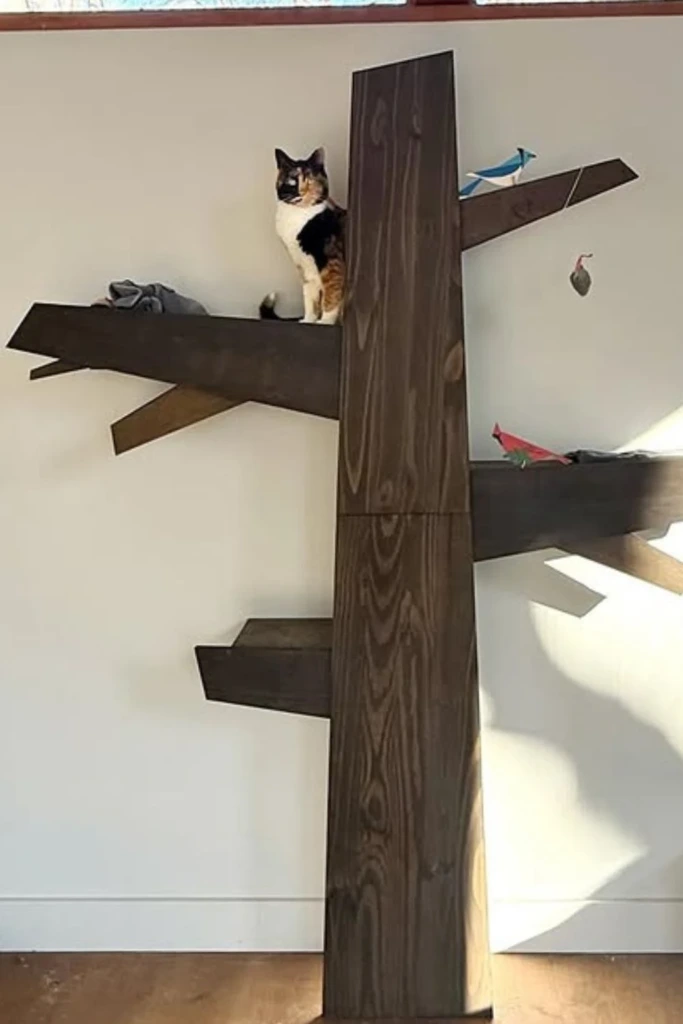 Wall Trunk