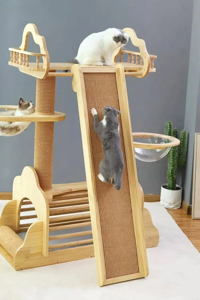 Climbing Ramp