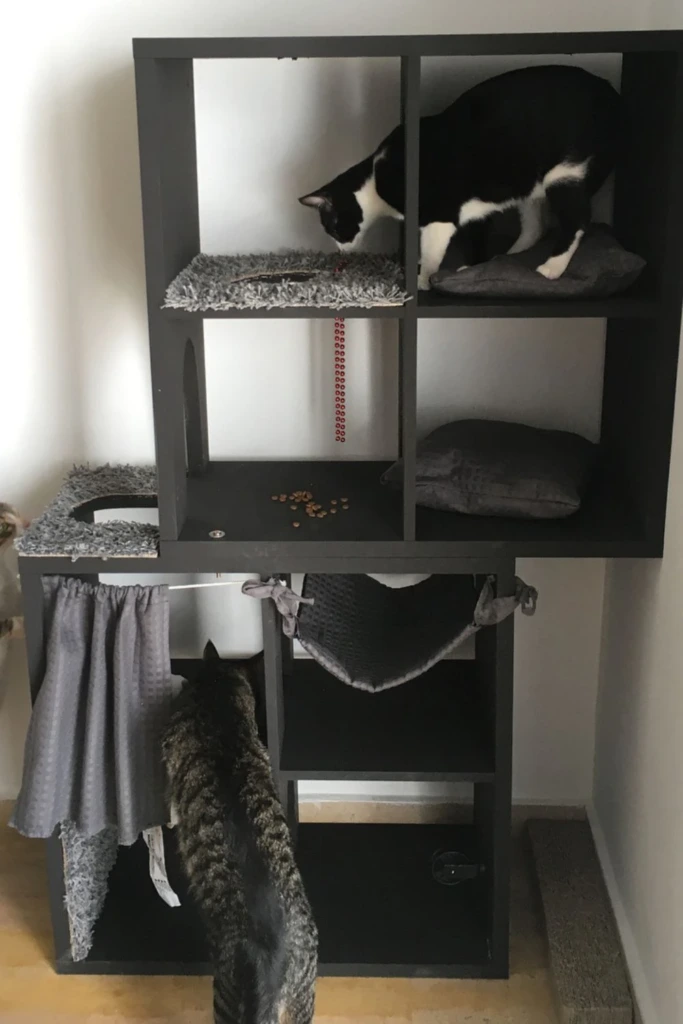 Cube Loft