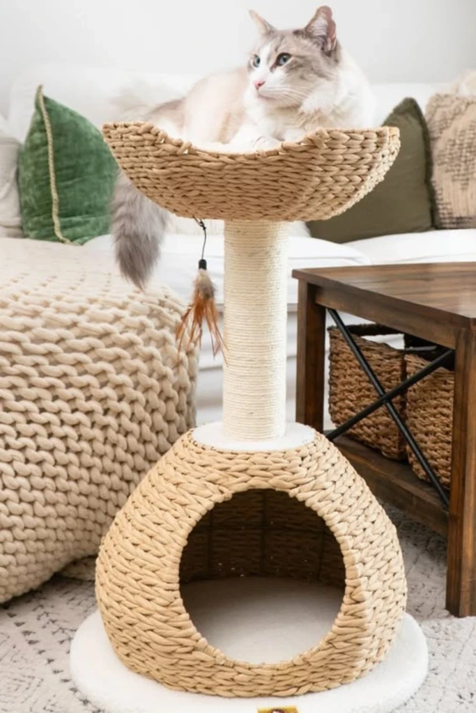 Cozy Basket