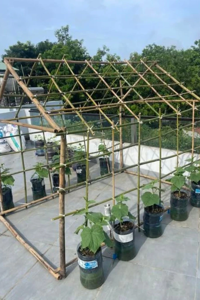 Bamboo House Frame