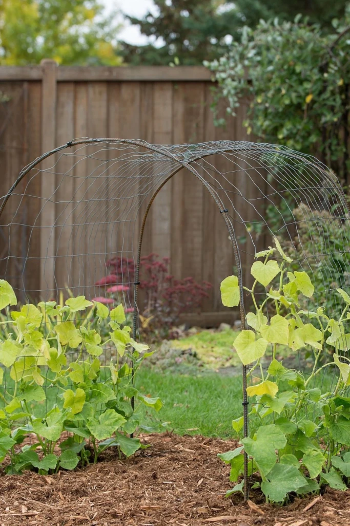 Wire Tunnel Arch