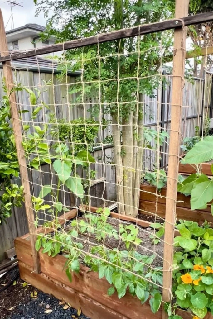 Net Panel Trellis