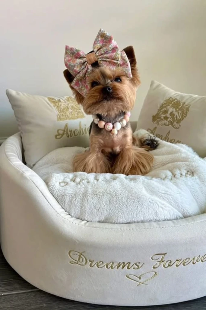 Luxury Comfort