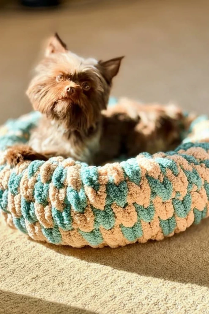 Chunky Knits